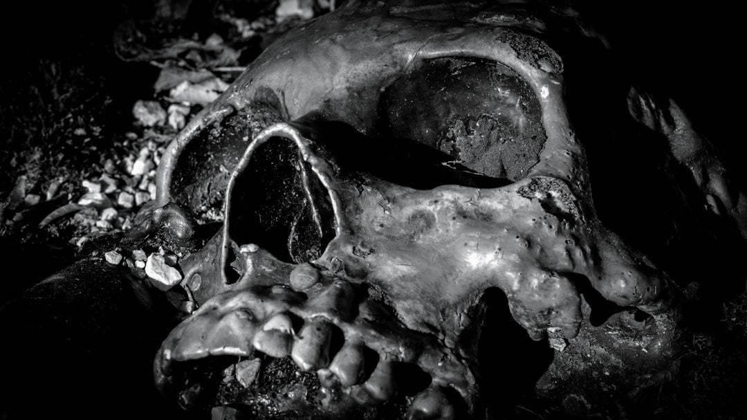 Everything You Need to Know About Decomposed Bodies and Their Process - American Mortuary Coolers & Equipments Everything You Need to Know About Decomposed Bodies and Their Process - American Mortuary Coolers & Equipments